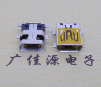 东凤镇迷你USB插座,MiNiUSB母座,10P/全贴片带固定柱母头