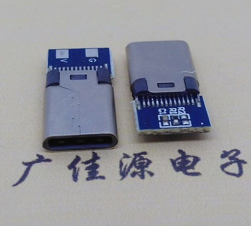 东凤镇铆合type-c公头2p充电带板