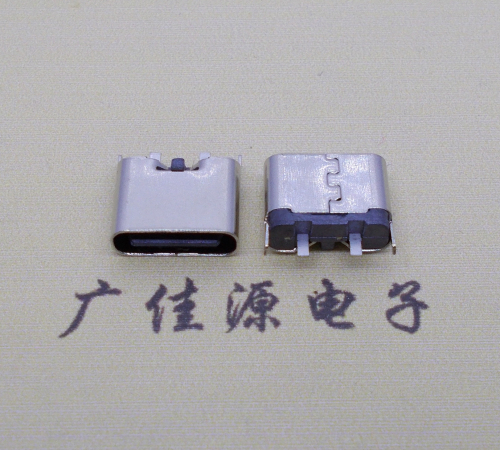 东凤镇铆合式type c2p母座两脚插板尾部带卡扣