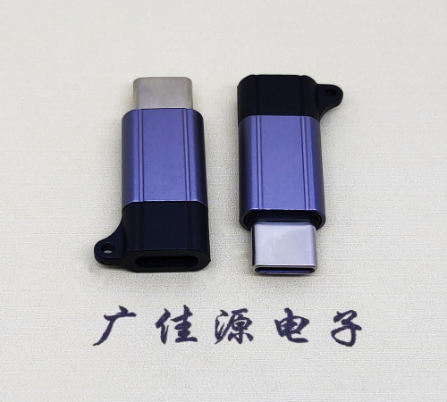 东凤镇Type-C母转Type-C公 USB3.1 PD100W快冲接口